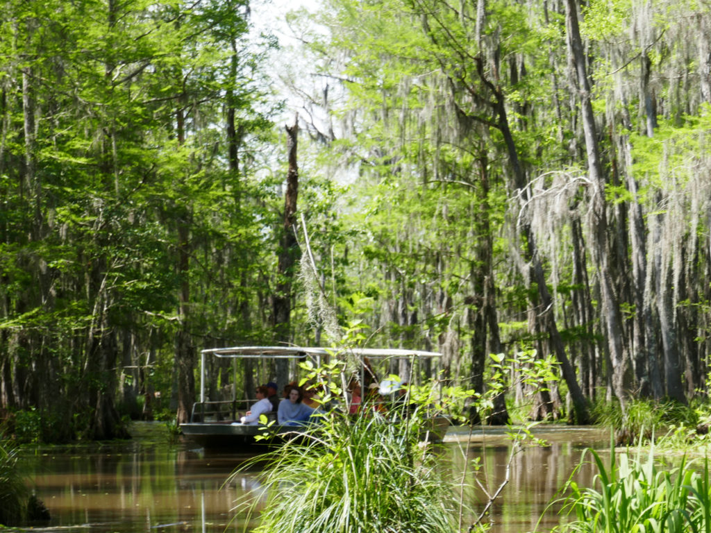 boats-honey-island-swamp-tour