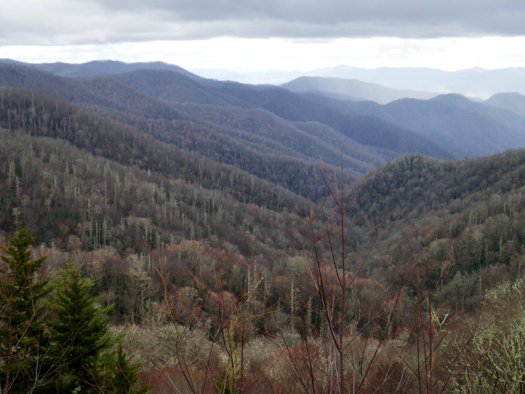Great-Smoky-mountains-view-