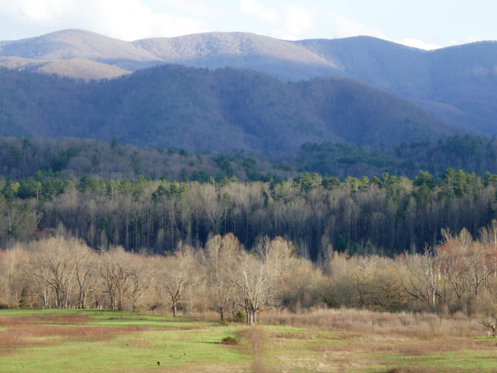 Cades-Cove-in-Great-Smoky-Mountains