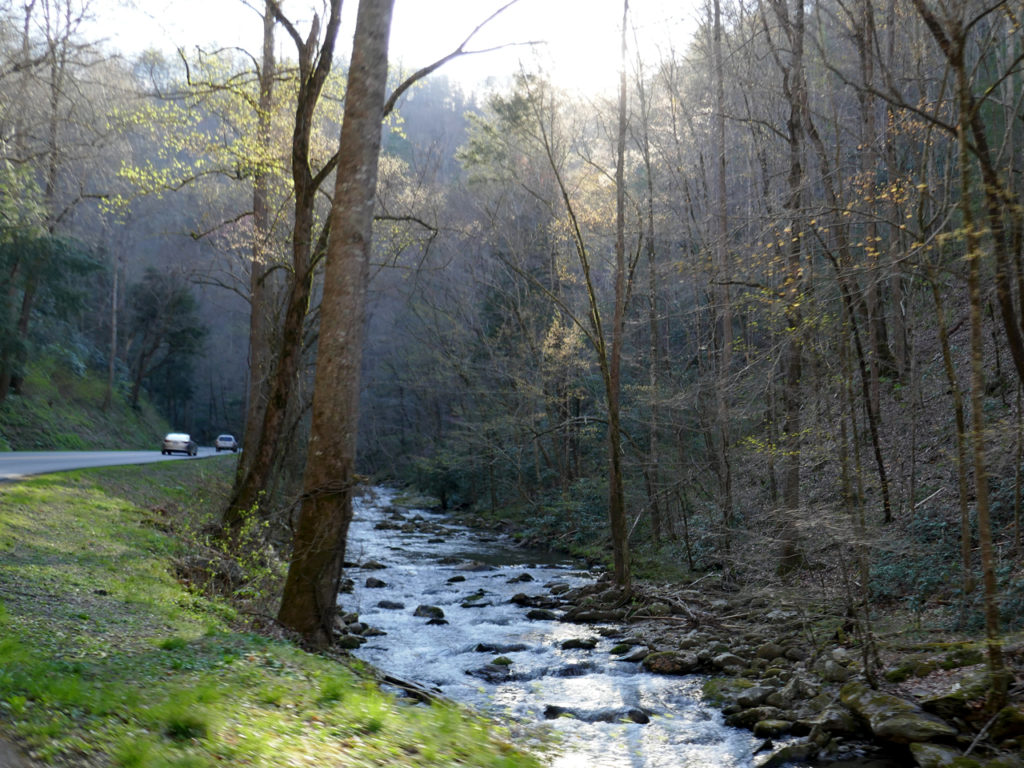 rijden-in-Great-Smoky-Mountains