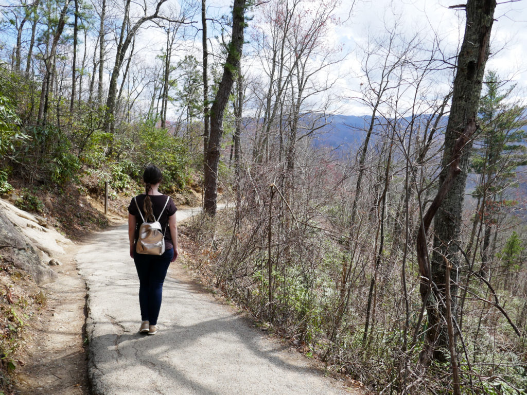 wandelen-Great-Smoky-Mountains