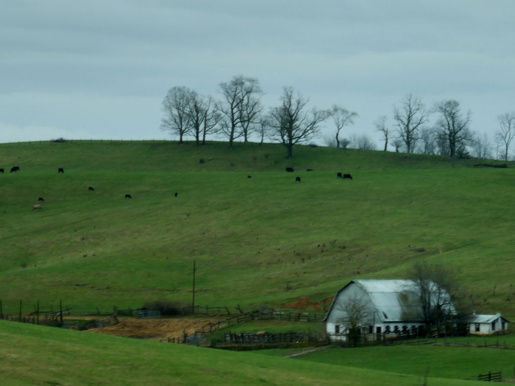 Onderweg-in-Virginia-Amerika