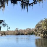 Winter Roadtrip van Florida naar New York – dag 11: manatee’s en naar Savannah!