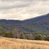 Winter Roadtrip van Florida naar New York – dag 14: Op zoek naar beren in de Great Smoky Mountains