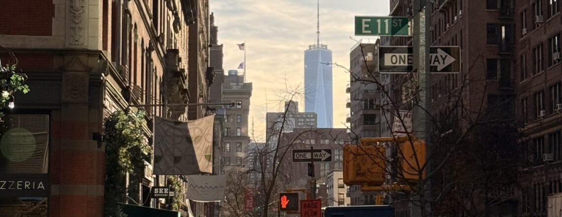 Winter Roadtrip van Florida naar New York – dag 21: Eten op straat in New York