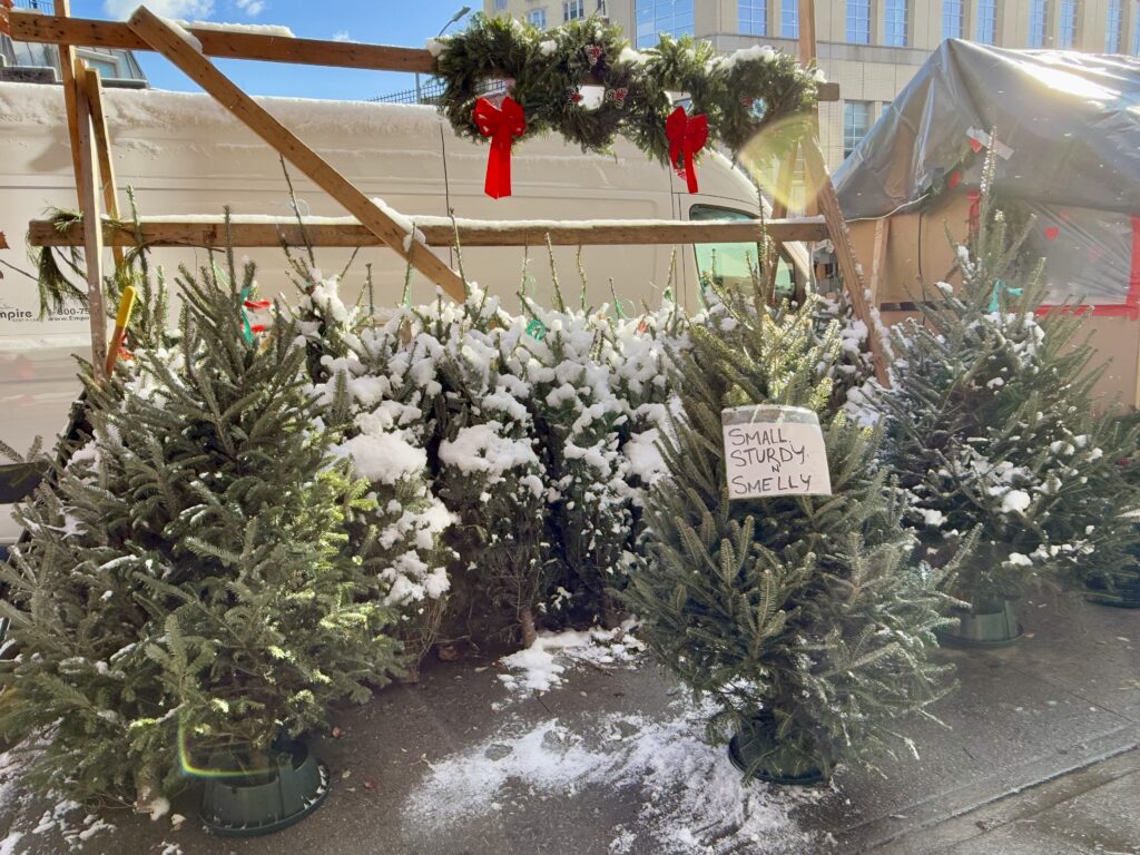 sneeuw en kerstbomen in New York kerstboom