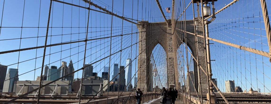 Winter Roadtrip van Florida naar New York – dag 26: Kou en de wandeling in New York