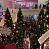 Winterse roadtrip van Florida naar New York reisverslagen