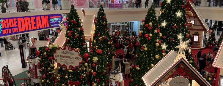 ervaringen roadtrip winter kerst Amerika