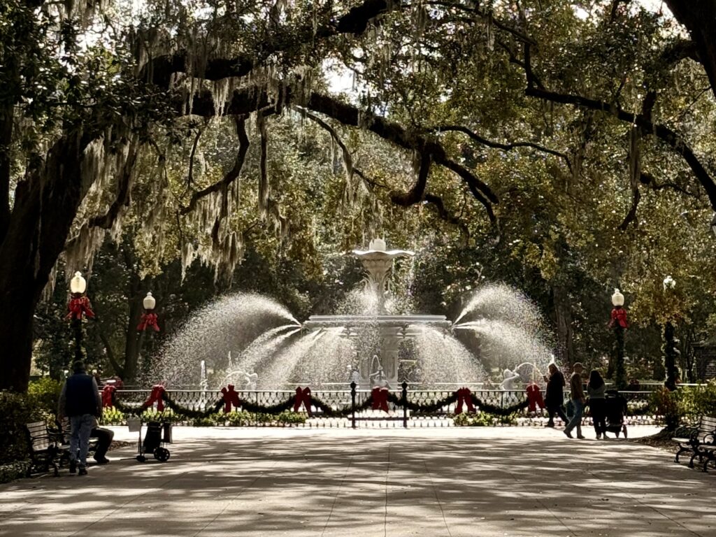 Savannah tijdens de kerstperiode